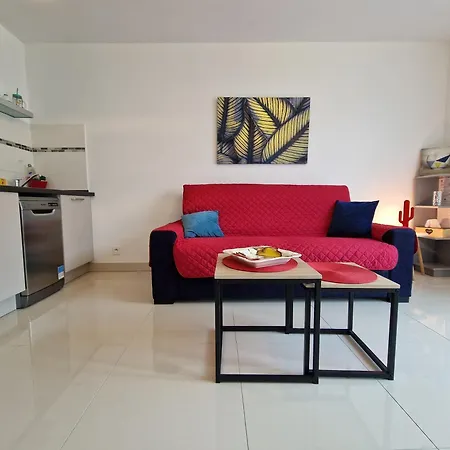 Grand Studio De Standing, 50 Plages, Clim Apartamento